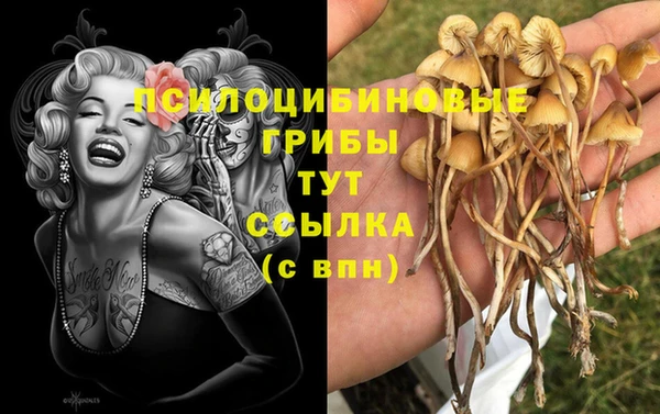 ГАЛЛЮЦИНОГЕННЫЕ ГРИБЫ Верхнеуральск