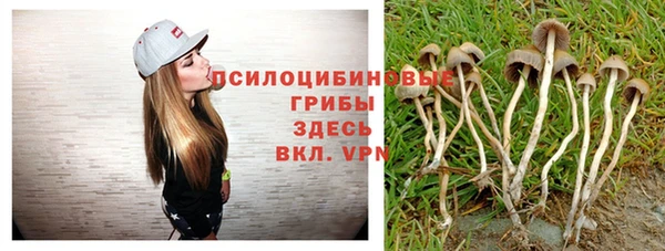 марки nbome Верхний Тагил
