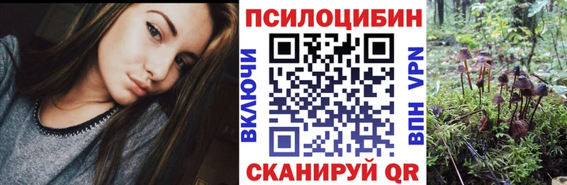 Псилоцибиновые грибы мухоморы Купить где Верхний Уфалей